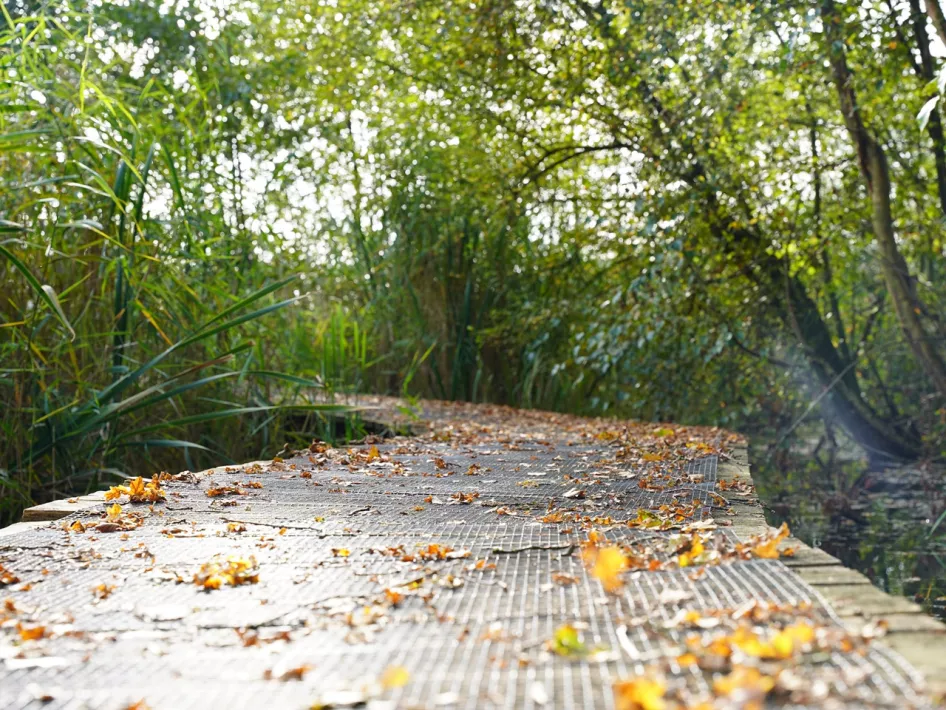 Wanderweg durch das Naturschutzgebiet Sarsven und Banen