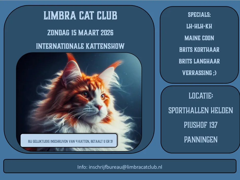 Internationale kattententoonstelling Panningen – poster van Limbra Cat Club met een Maine Coon en informatie over de kattenshow op 15 maart 2026.