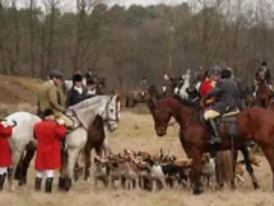 Een groep ruiters in klassiek jachttenue verzamelt zich met hun paarden en Engelse meutehonden tijdens de slipjacht in Herkenbosch.