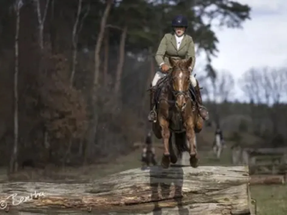 Een ruiter springt met zijn paard over een hindernis in het parcours van de slipjacht in Herkenbosch.