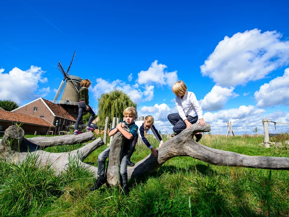 Kinderen klauteren op boomstronken met op de achtergrond de Hompesche Molen