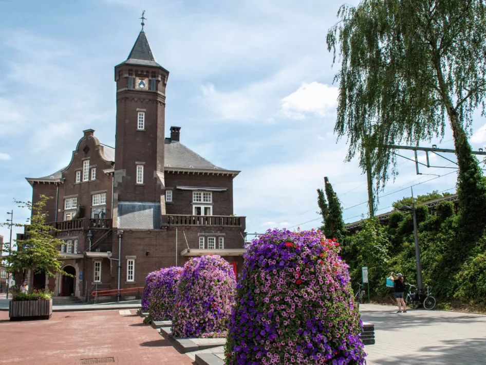 Asperges en Molens Weert-Nederweert