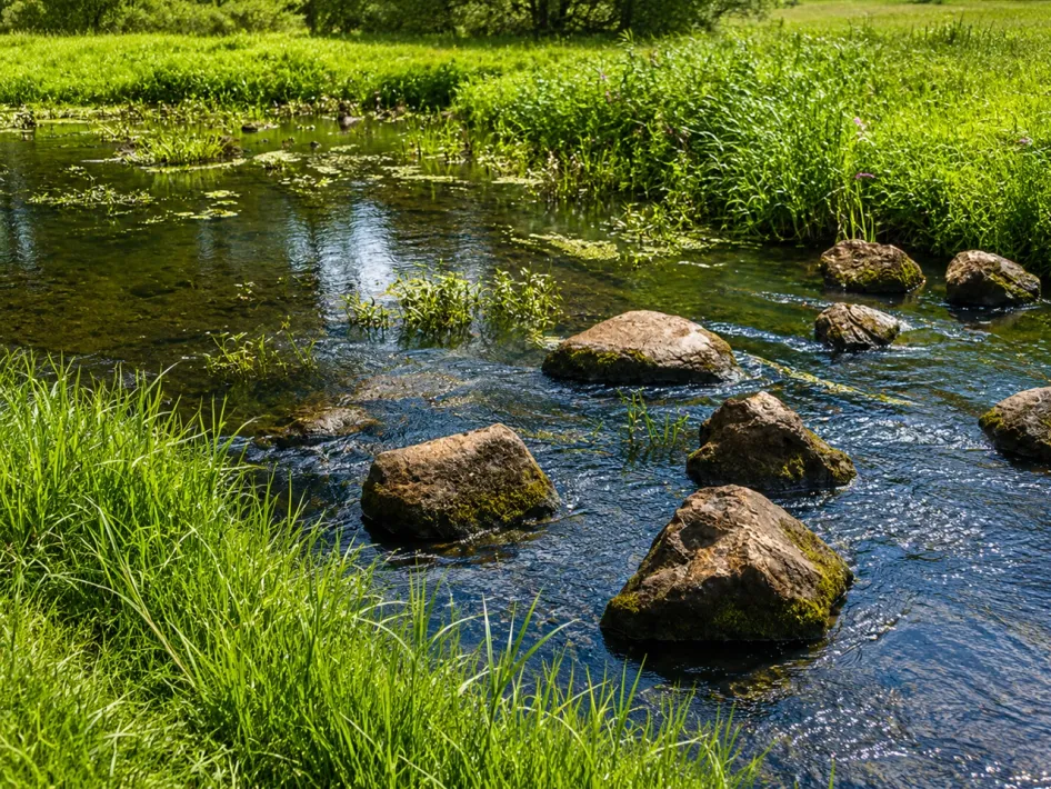 Een kabbelende beek met grote keien, helder water en groene oevers in natuurgebied Leudal waar je tijdens de Stiltewandeling langs komt.