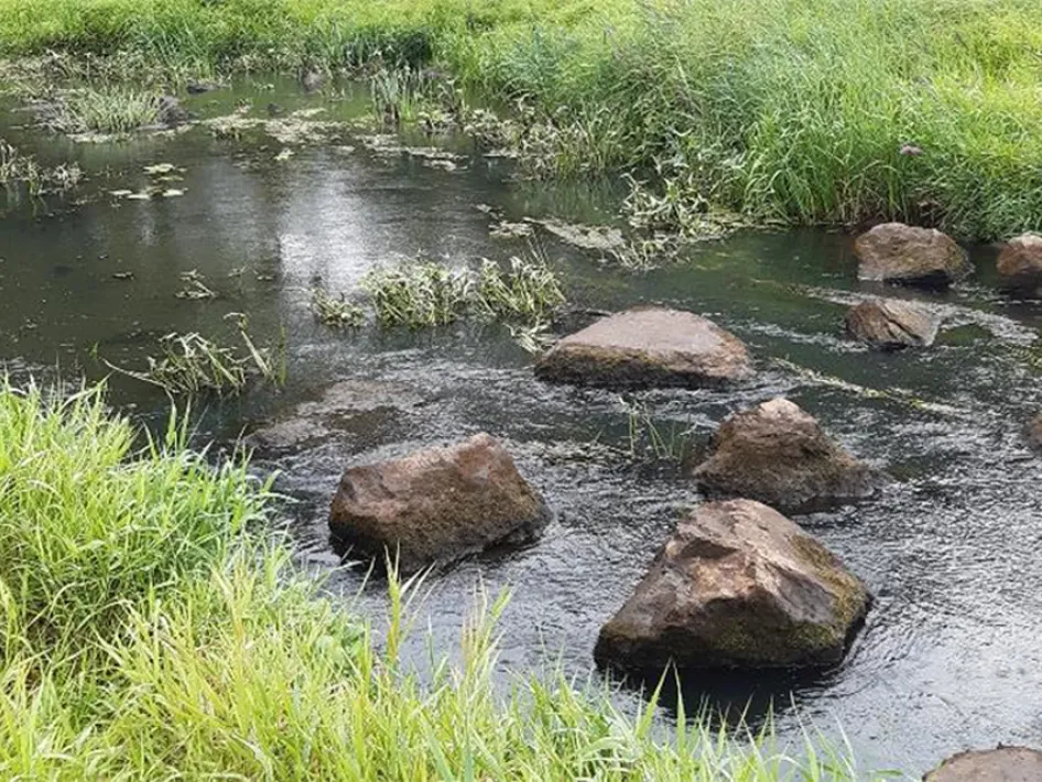 Stiltewandeling Leudal