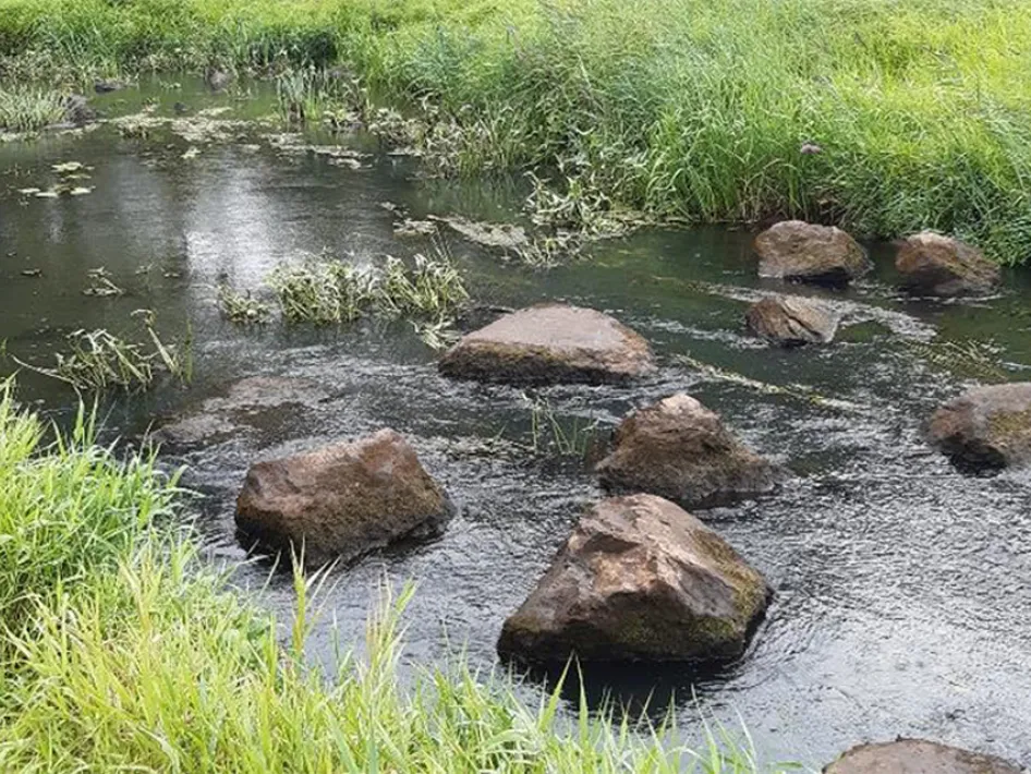 Ondiepe beek met stenen tussen het gras tijdens een stiltewandeling in het Leudal.