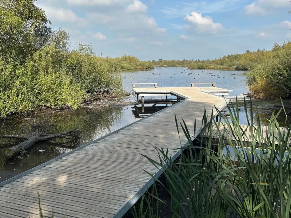 Vlonderpad over het water in De Groote Peel, op de route van de Stiltewandeling.
