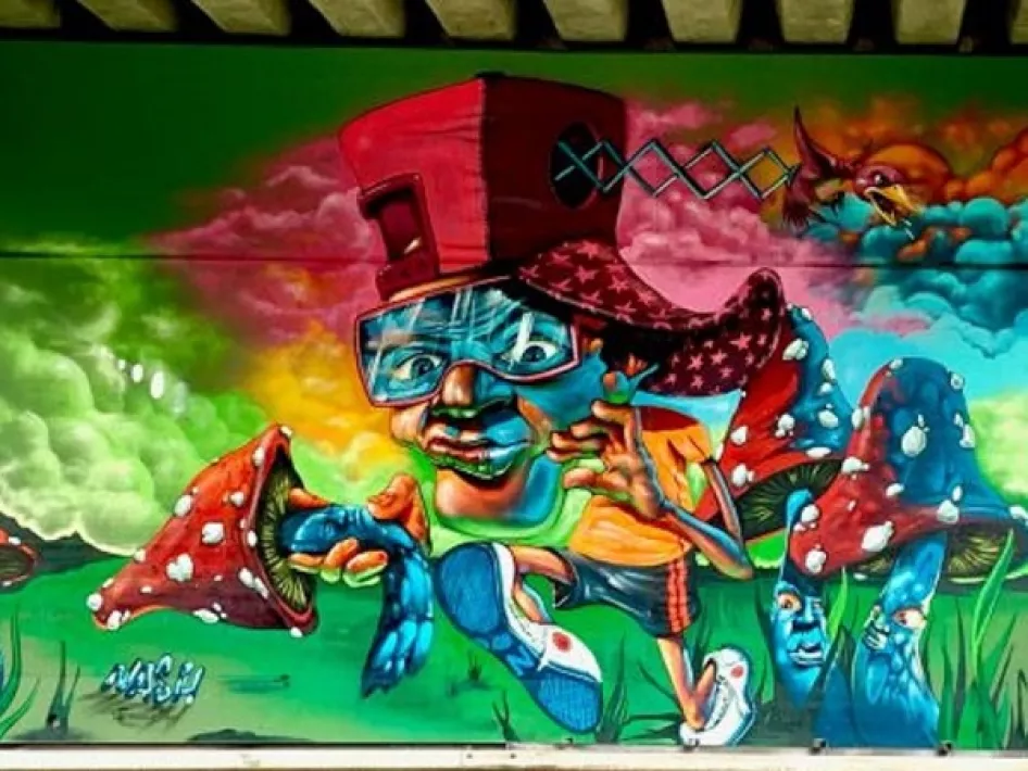 Mural die te zien is tijdens de street art wandeling in Weert