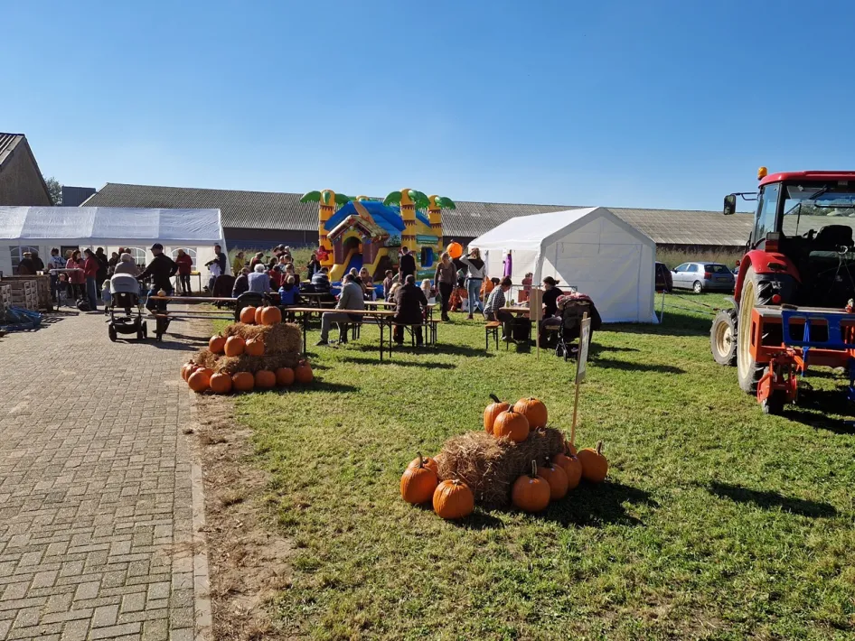 Bezoekers op het activiteitenveld tijdens de Pompoen Plukdagen bij Tuinbouwbedrijf Bonten, met pompoenen, tenten, een springkussen en een tractor.