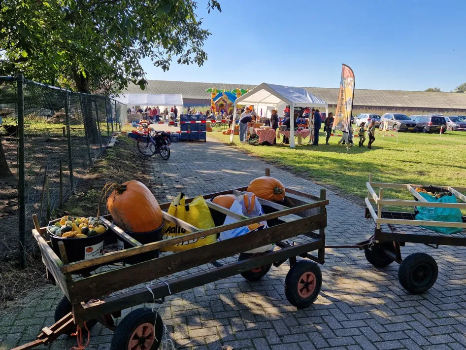 Karren met pompoenen bij Tuinbouwbedrijf Bonten tijdens de Pompoen Plukdagen, met bezoekers en activiteiten op het terrein op de achtergrond.