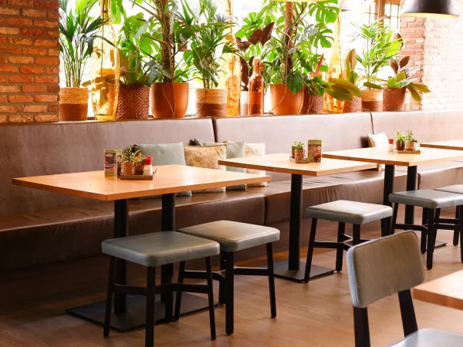 De zitplaatsen bij Tuincafé Roermond