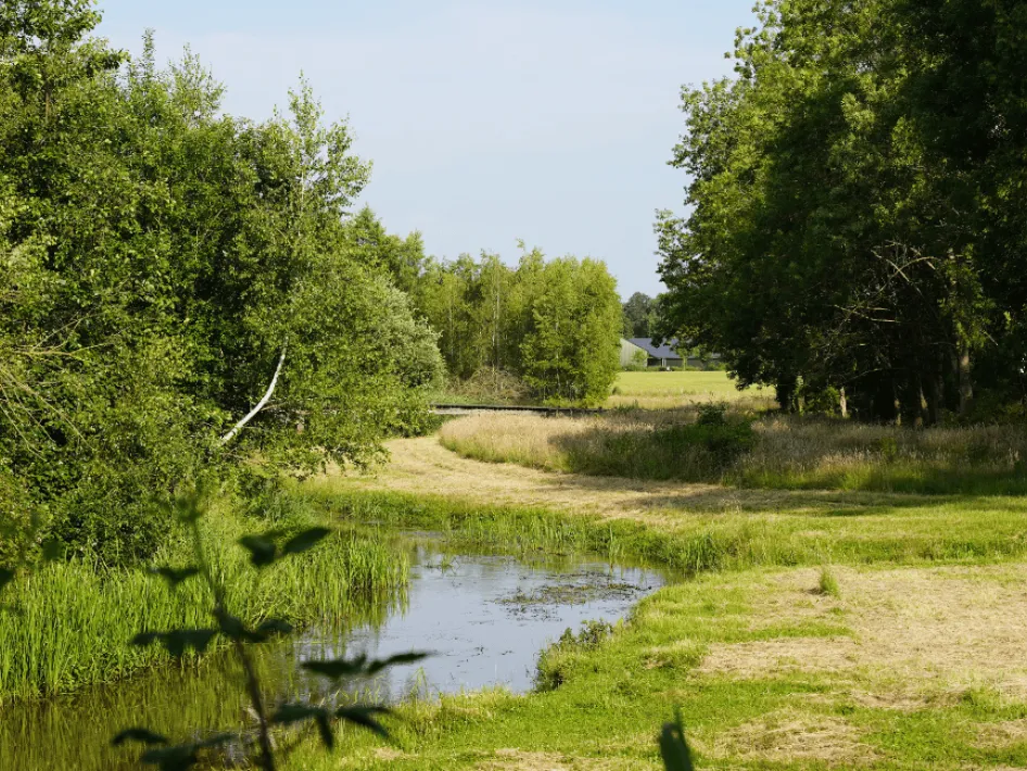  Wandelroute Knopenlopen: Leveroy
