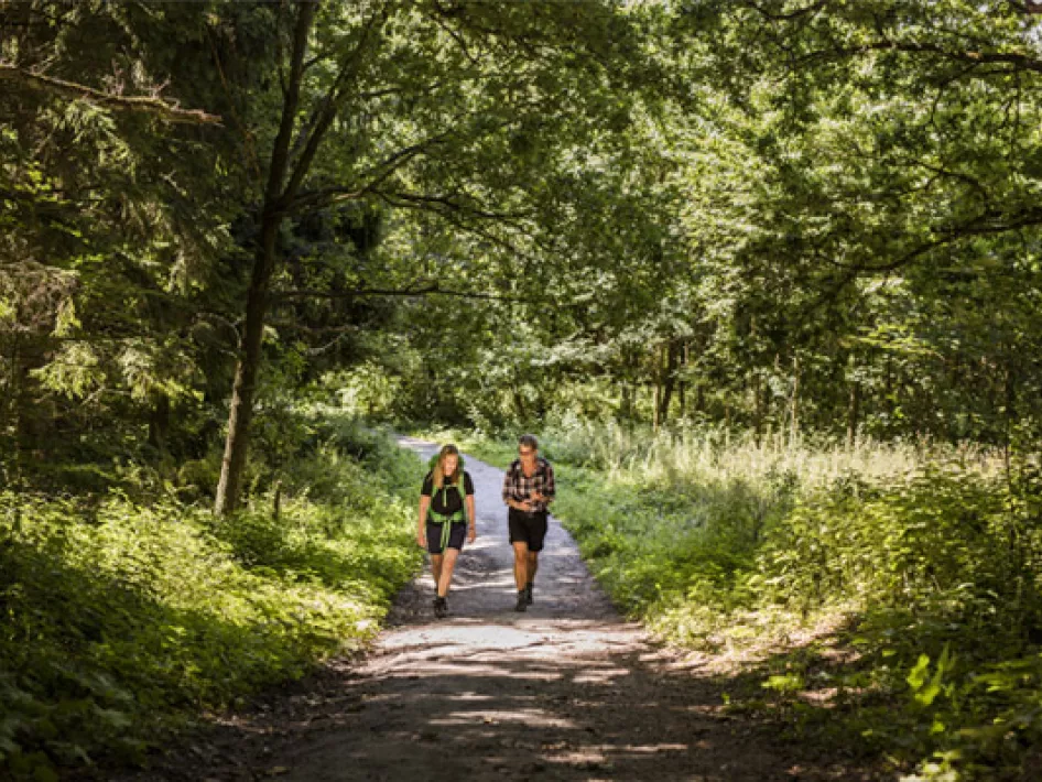 twee vrouwen wandelen door het bos