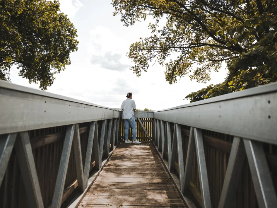 A person stands on a wooden viewing platform with metal railings, looking out over the landscape. The platform is surrounded by tall trees and the sky is partly cloudy.