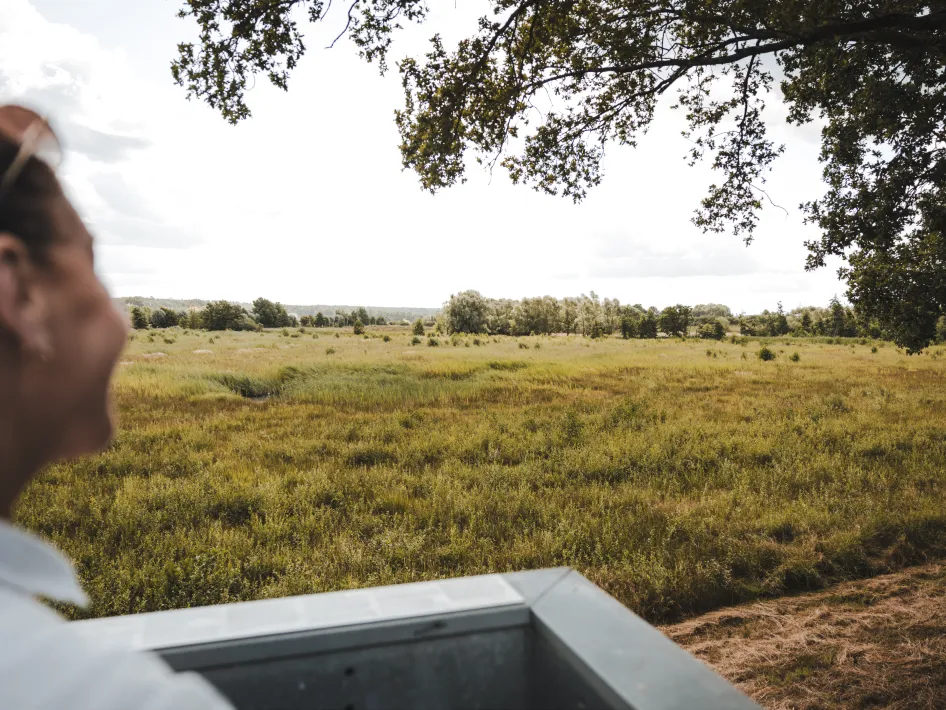 A woman smiles while looking out from a lookout point over a vast green landscape. In front of her lies an open field with grass and shrubs, bordered by trees under a partly cloudy sky.