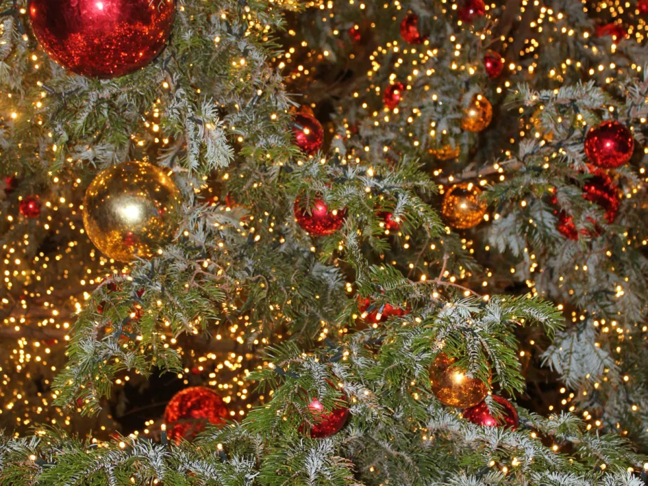 kerstballen die in een boom hangen met lichtjes