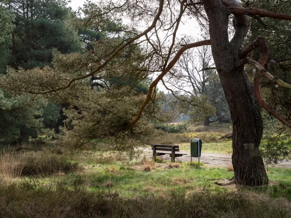 Bench with bin stands in the nature reserve near the urn field in Weert