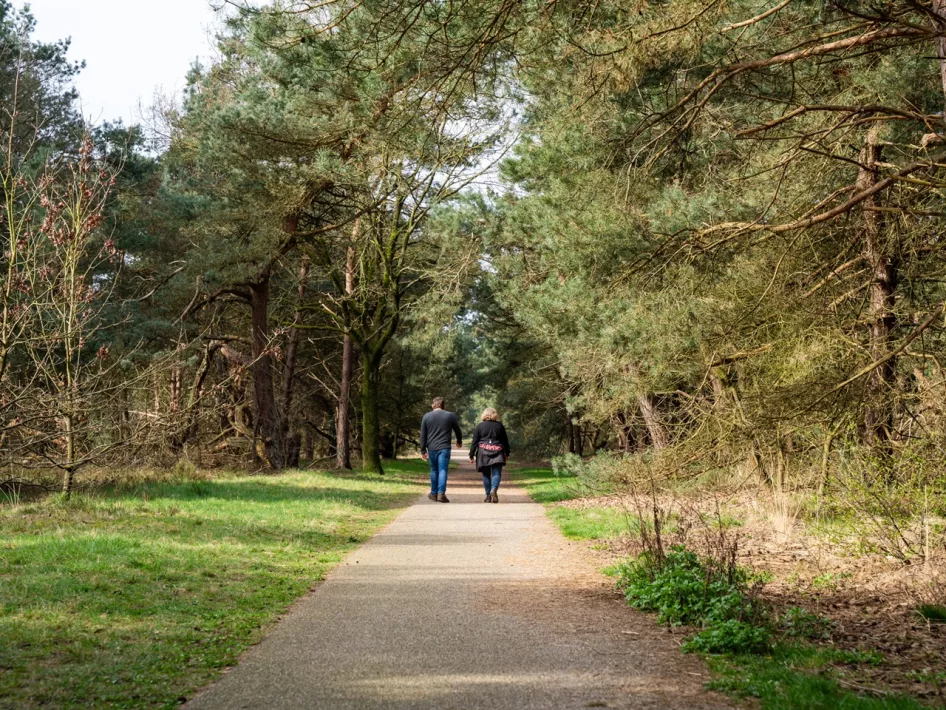 Hikers in the Boshoverheide nature reserve in Weert