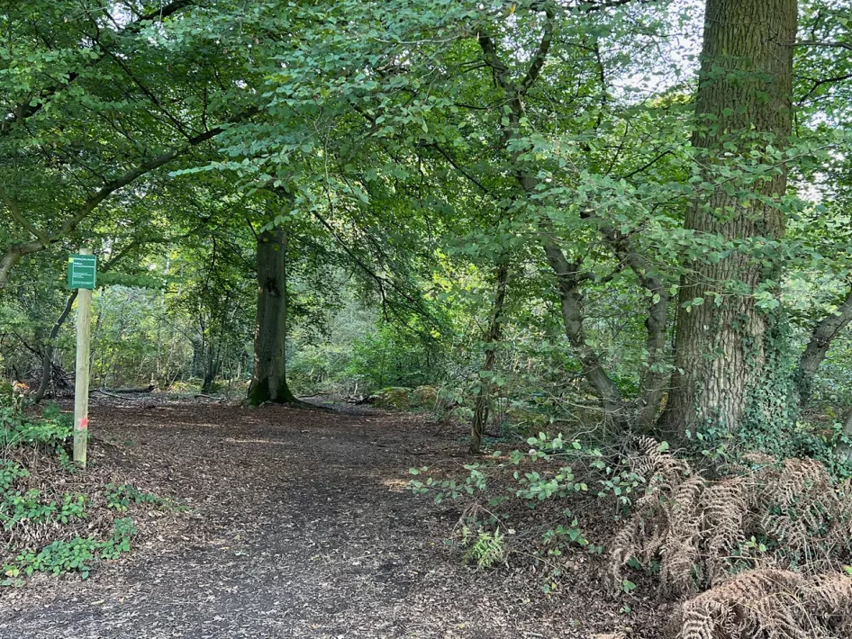 Het Geuzenkerkhof gelegen in het Munnichsbos in de gemeente Roerdalen