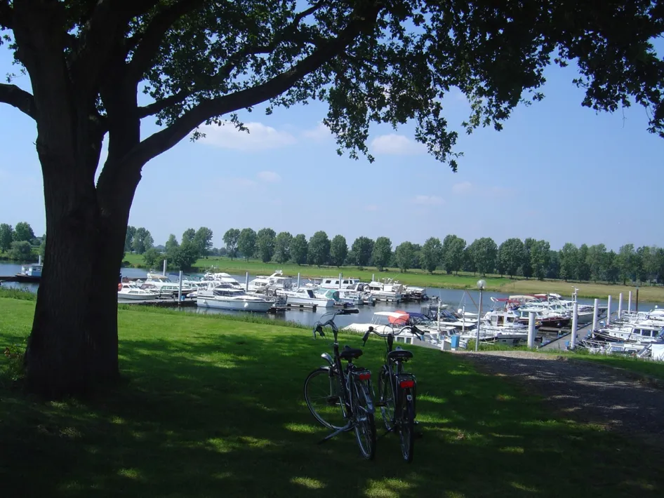 Uitzicht op de jachthaven bij Van der Laan Yachting in Maasbracht, met aangemeerde boten en fietsen onder een boom in het gras