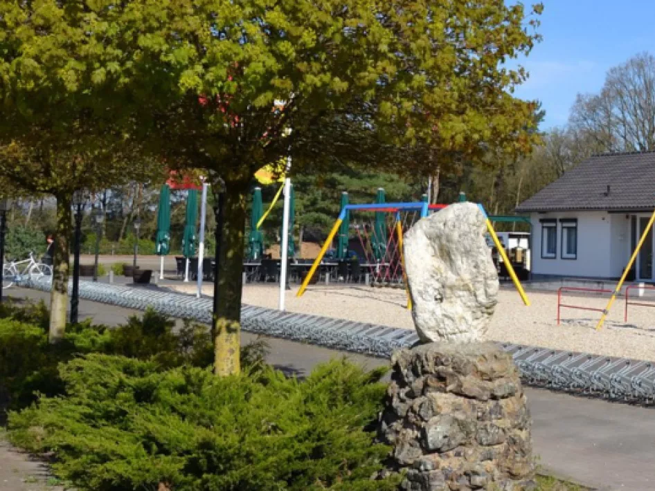 Tussen Grens en Schelkensbeek: Witte Stein 