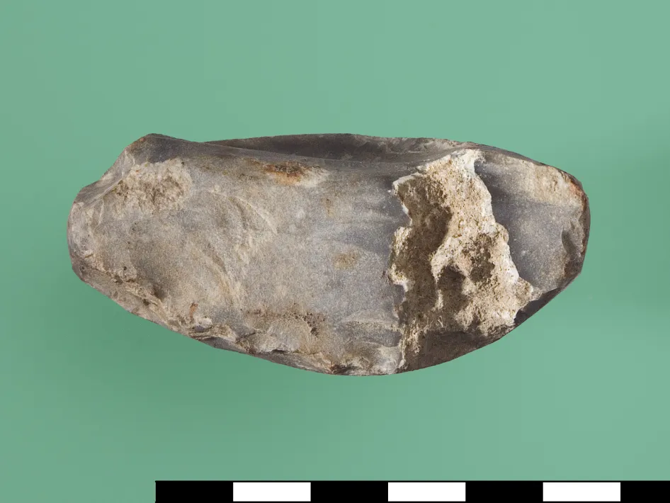 Vuurstenen Bijl Houthem Kloosterbos Gemeente Valkenburg aan de Geul Provincie Limburg Fotot graaf Ton Penders RCE Creative Commons by sa 3.0 