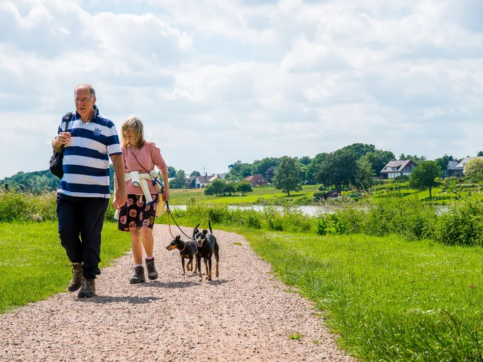 Twee wandelaars met honden lopen over een pad langs het water, omringd door het groene landschap van Limburg.