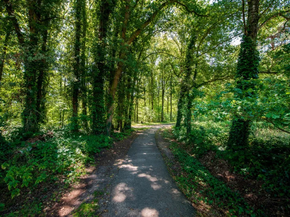 Wandelrondje Domein Laurabos