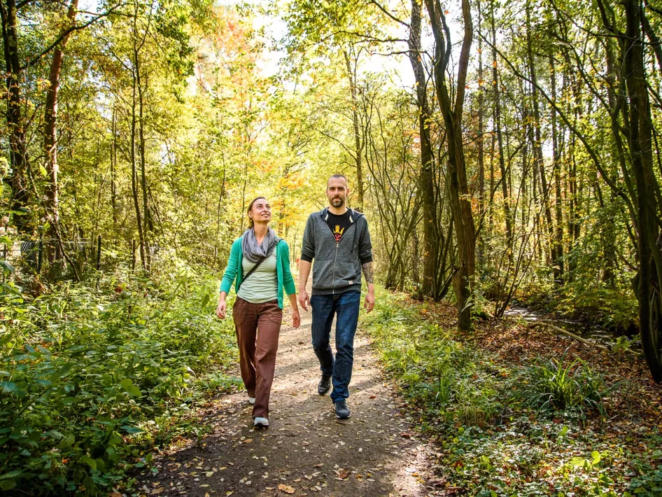 Wanderroute Roerdalen: De Meinweg - Zandbergenpad