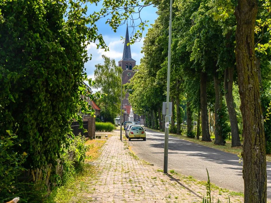 Zonnige dorpsstraat in Buggenum met zicht op de Sint-Aldegundiskerk, omzoomd door bomen en karakteristieke huizen.
