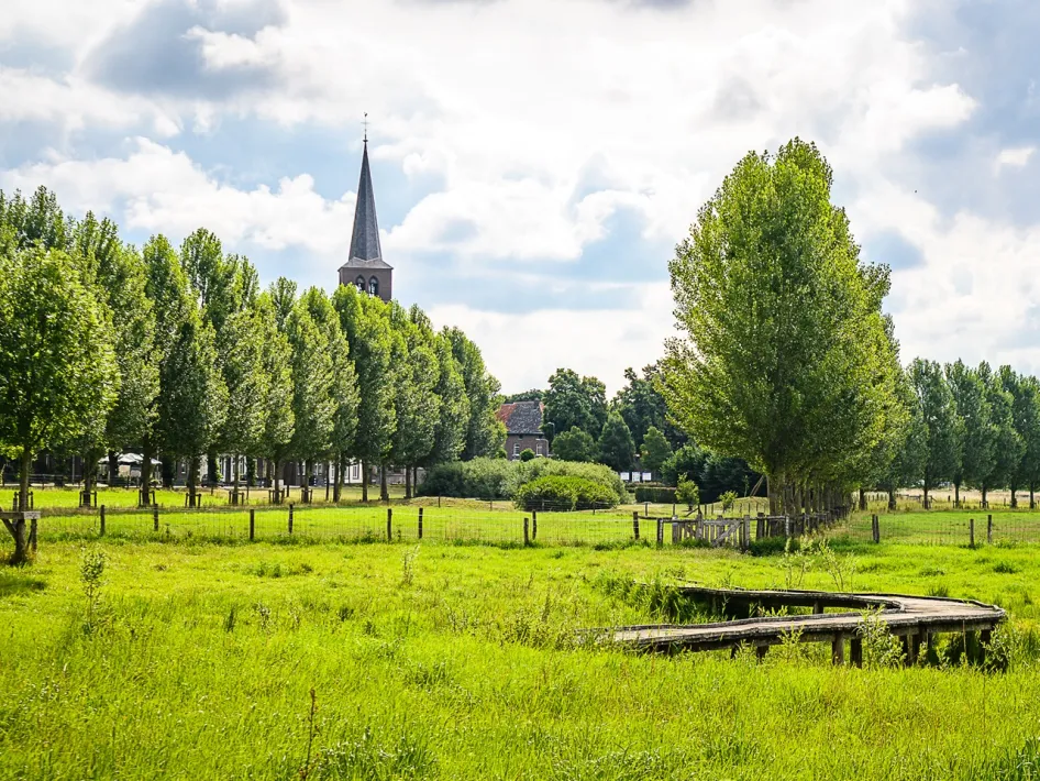 Blick auf Buggenum von einer grünen Wiese mit Holzsteg und Kirchturm zwischen den Bäumen.