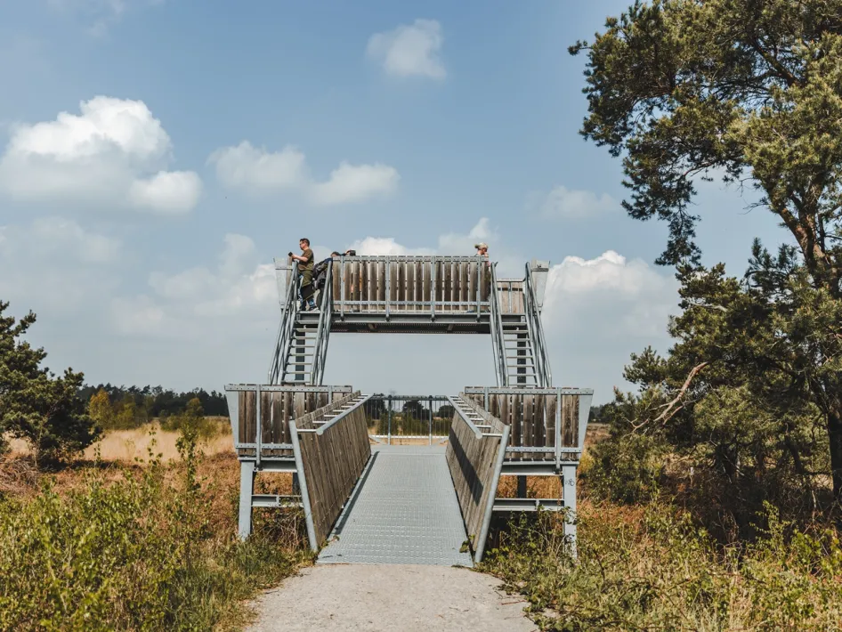 Besucher auf einem hölzernen Aussichtsturm mit Blick auf die offene Moorlandschaft im Nationalpark De Peel.