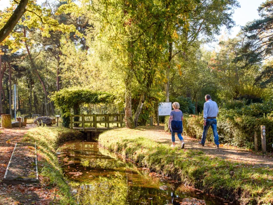 Zwei Wanderer auf dem Freiheitsweg im KempenBroek Border Park, vorbei an einem sich schlängelnden Bach und einer Holzbrücke, umgeben von Bäumen in Herbstfarben.