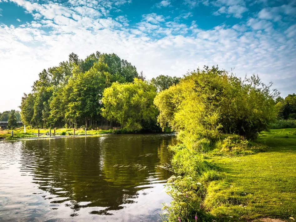 Green bank with trees along gently flowing water in the Roerdal near Roermond.