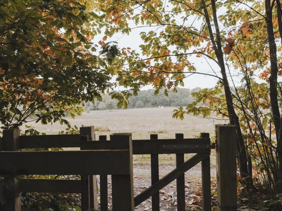 Holztor am Waldrand mit Blick auf ein herbstlich gefärbtes Feld.