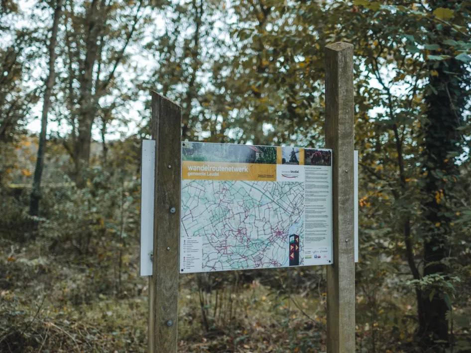 Wegweiser des Wanderwegenetzes Leudal in waldreicher Umgebung.