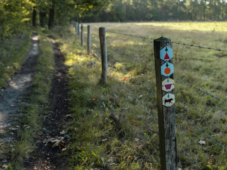 Wandelroute Smeetshof - Wijffelterbroek Paars onderweg