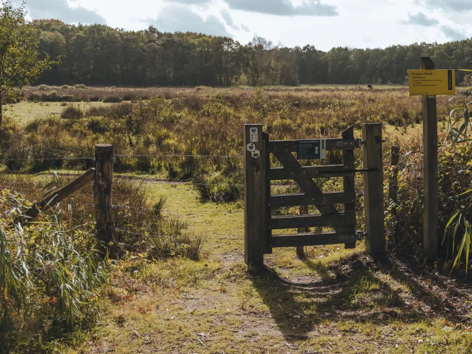 Wandelroute Smeetshof - Wijffelterbroek Paars onderweg