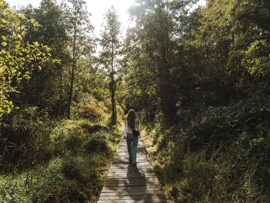 Wanderroute Smeetshof - Wijffelterbroek Lila Unterwegs
