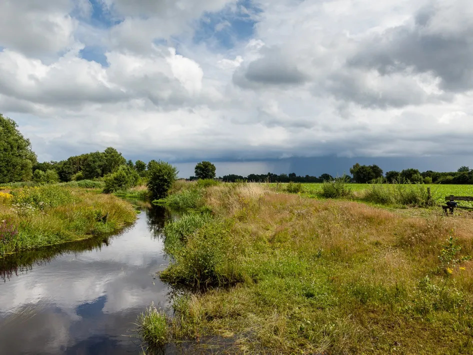Zicht op de Tungelroyse Beek met gras, bloemen, een houten bankje en een dreigende lucht boven het landschap.