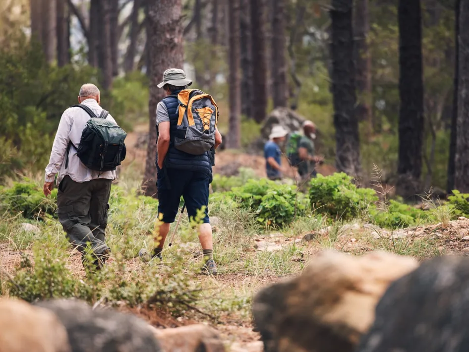 Wandelaars met rugzakken lopen door een bosrijke omgeving tijdens een georganiseerde wandeltocht in Venray.