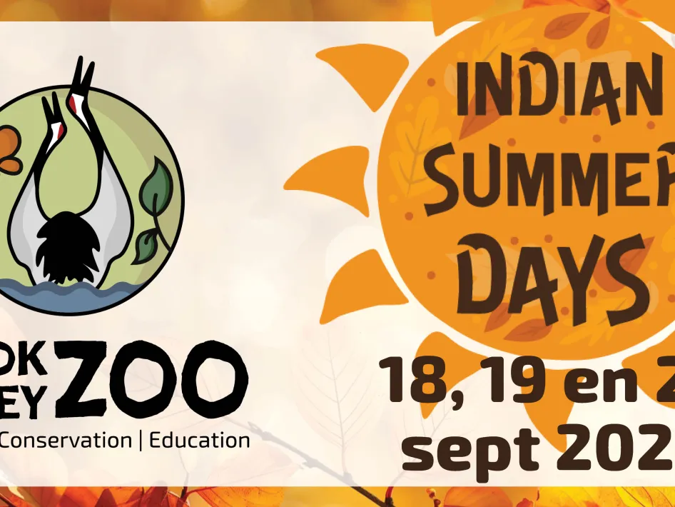 Banner van Brook Valley Zoo. Op de afbeelding staat een zon met de datums van de Indian Summer Days op 18, 19 en 20 september 2026.