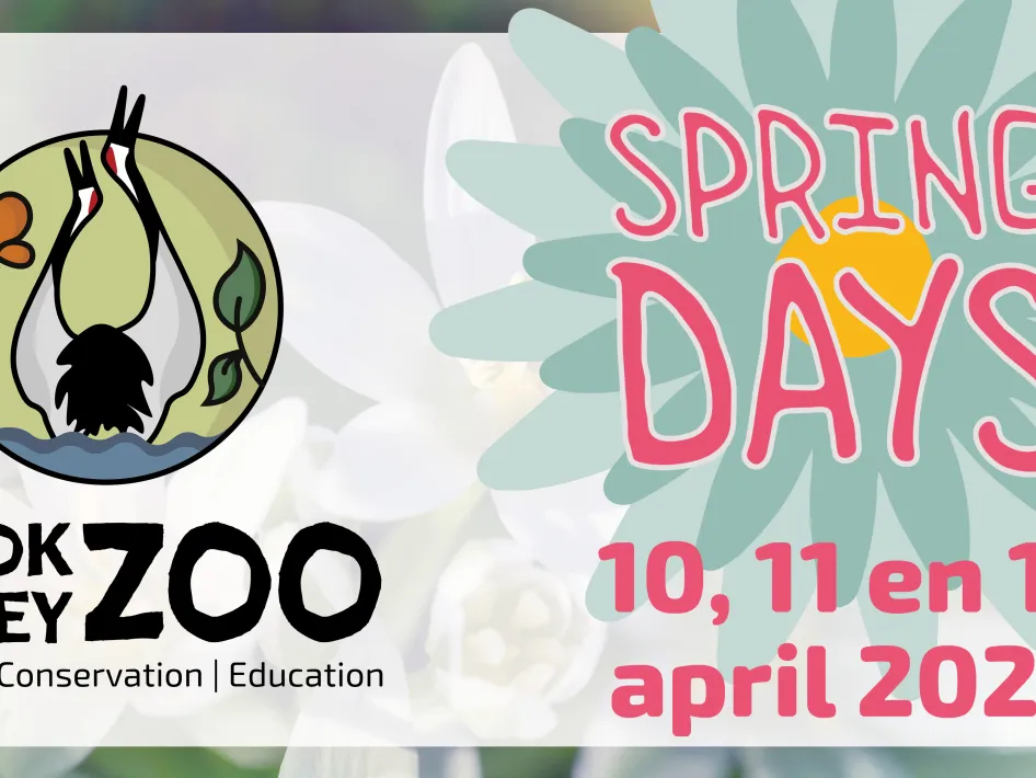 Brook Valley Zoo: Spring Days 2026 - 10, 11 en 12 april 2026
