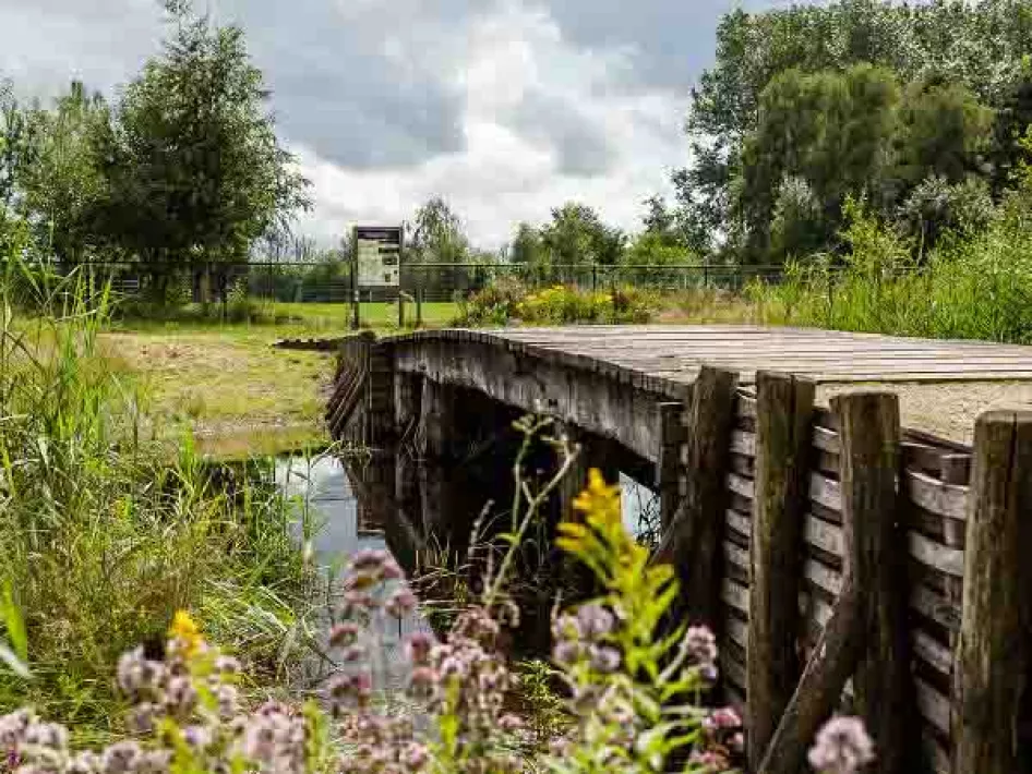 A Roman bridge in a green nature reserve