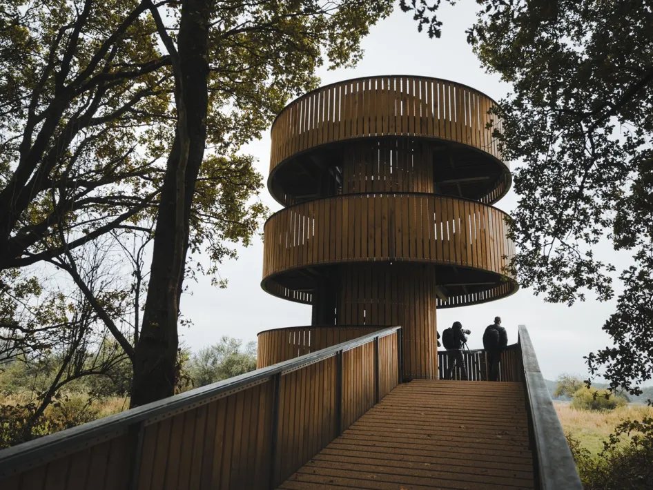 Een ronde houten uitkijktoren in Weerterbos, met een brede loopbrug en twee bezoekers die vanaf de toren over het natuurgebied kijken.