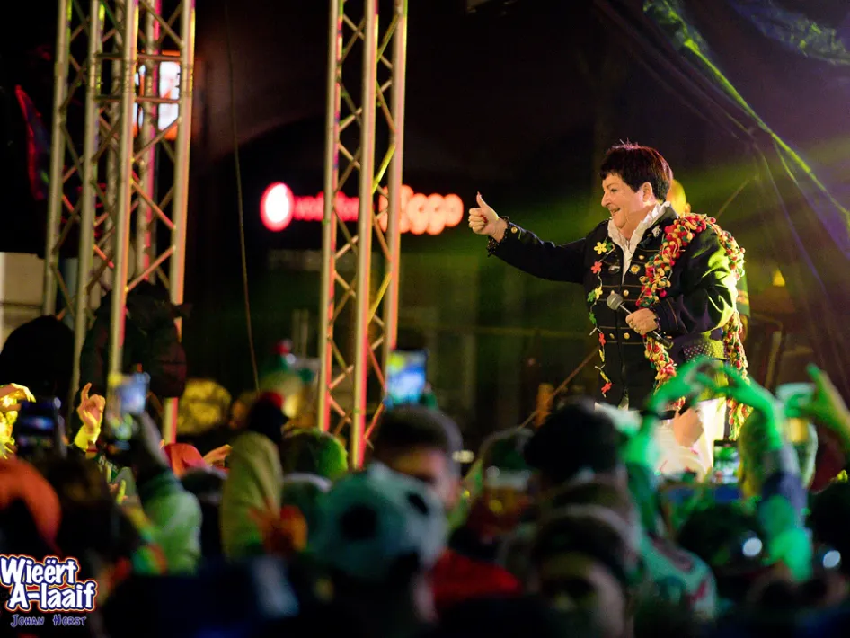 Artiest treedt op voor een feestelijk publiek tijdens Wieërt A Laaif 2025 in Weert.