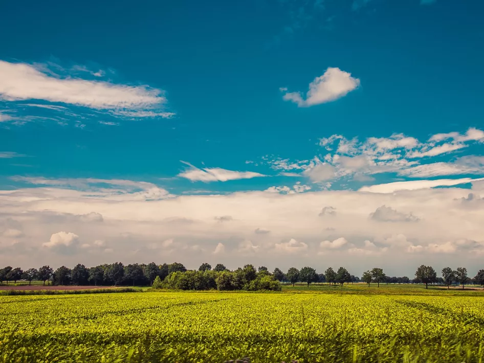 Tijdens de wielerroute Limburgse land en water route kom je langs mooie natuur in de gemeente Weert