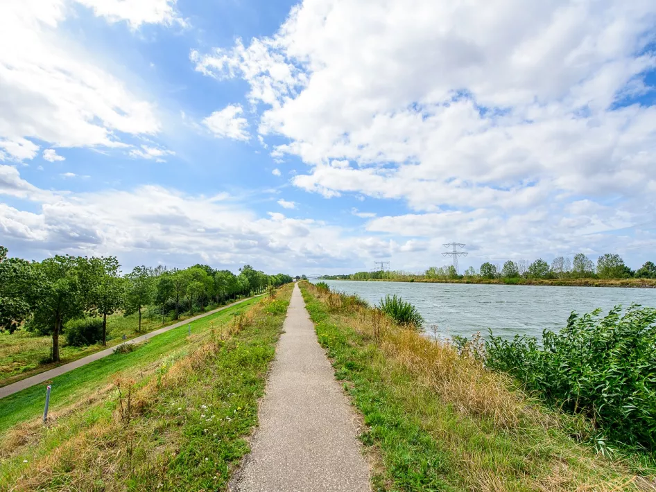 Lange rechte fietsweg langs het Julianakanaal in Maasgouw