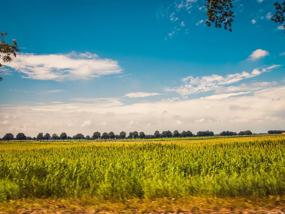 Wide green landscape with fields and trees along the cycling route.