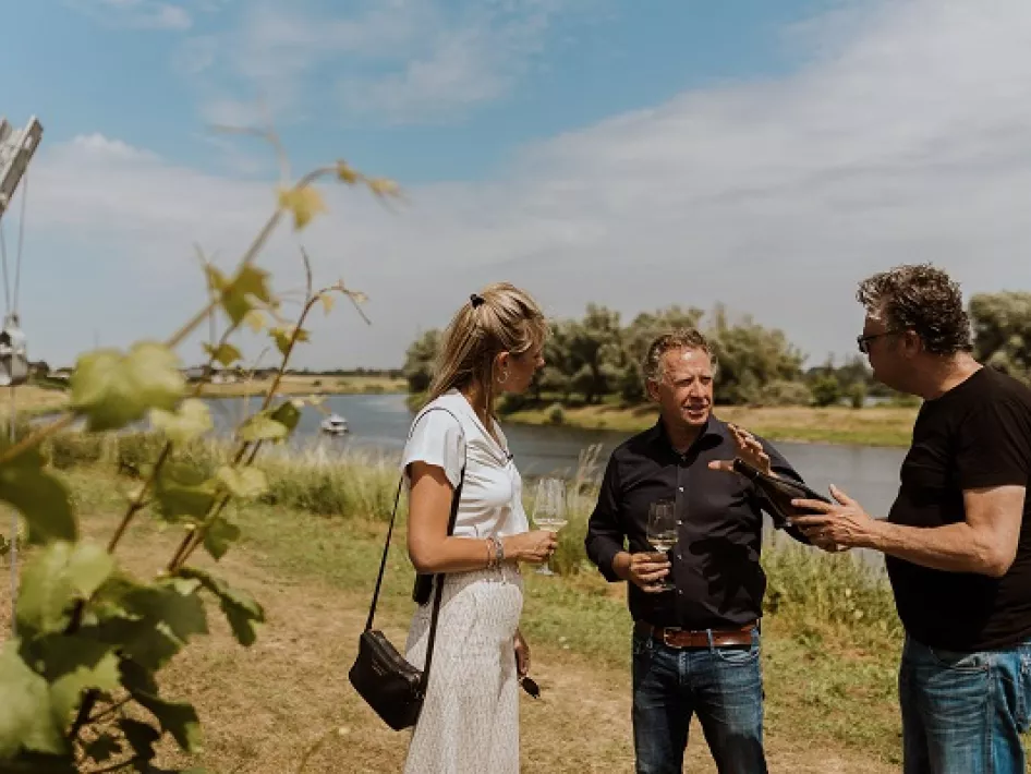 Wijnfietsroute Maasland - Uitleg over de wijnen