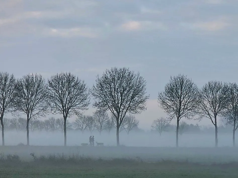 Tijdens een winterwandeling Roerdalen lopen twee mensen met hun honden door een mistig bos.